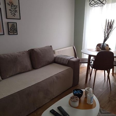 Apartman Element Kruševac 外观 照片