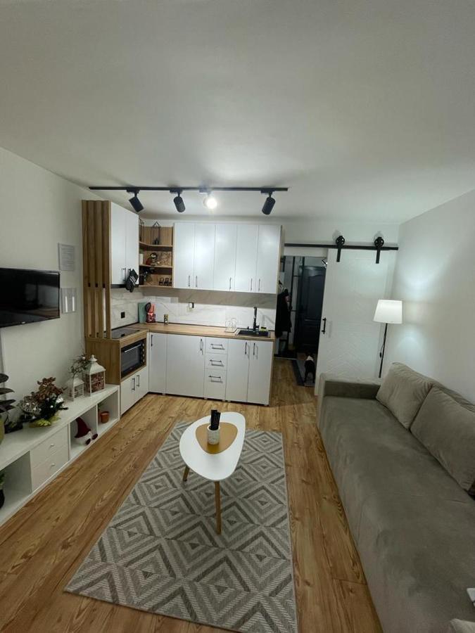 Apartman Element Kruševac 外观 照片