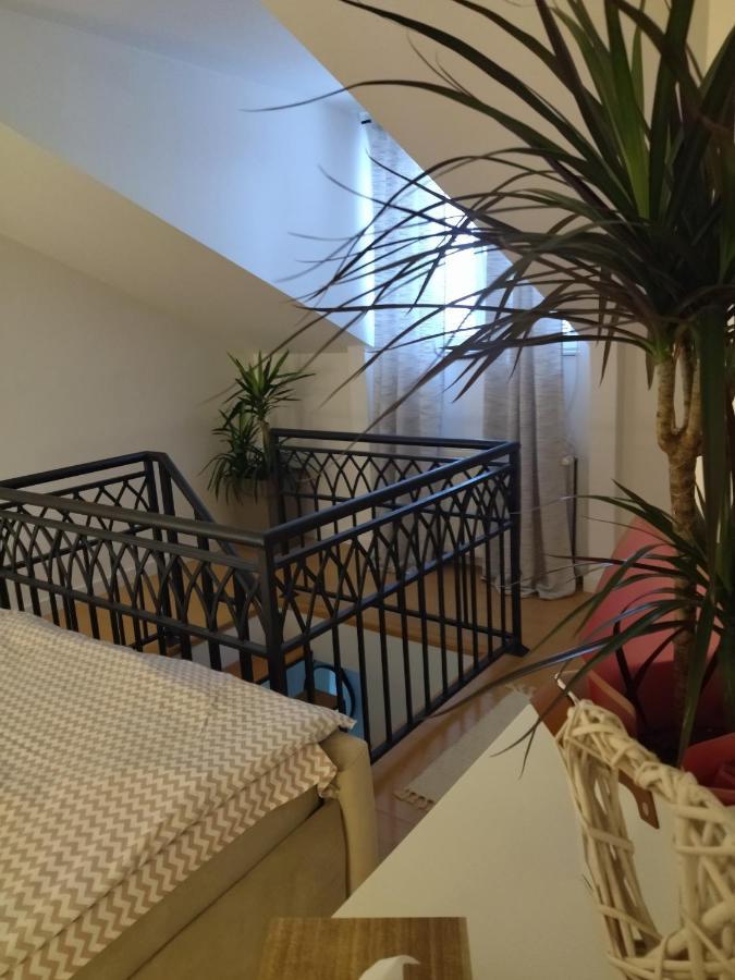 Apartman Element Kruševac 外观 照片