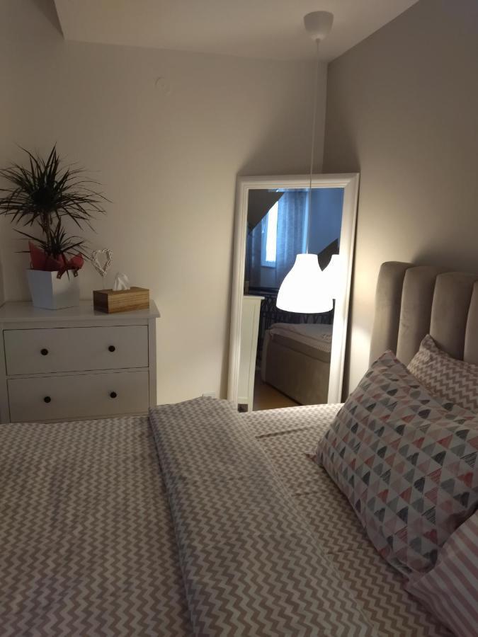 Apartman Element Kruševac 外观 照片