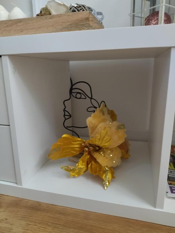 Apartman Element Kruševac 外观 照片