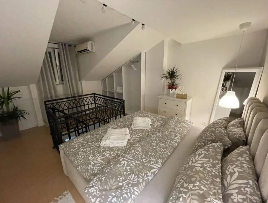 Apartman Element Kruševac 外观 照片